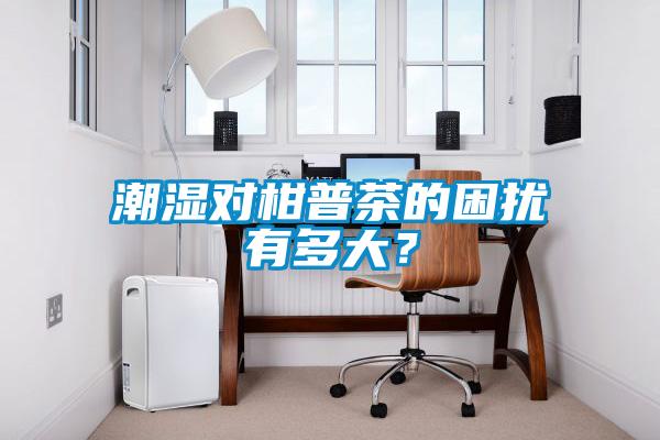 潮濕對(duì)柑普茶的困擾有多大？