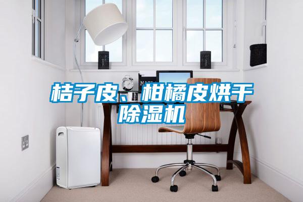 桔子皮、柑橘皮烘干除濕機