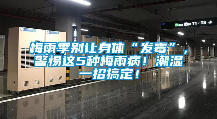 梅雨季別讓身體“發霉”，警惕這5種梅雨病！潮濕一招搞定！