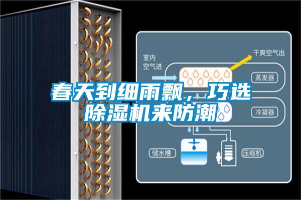 春天到細(xì)雨飄，巧選除濕機(jī)來防潮