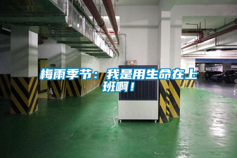 梅雨季節：我是用生命在上班啊！