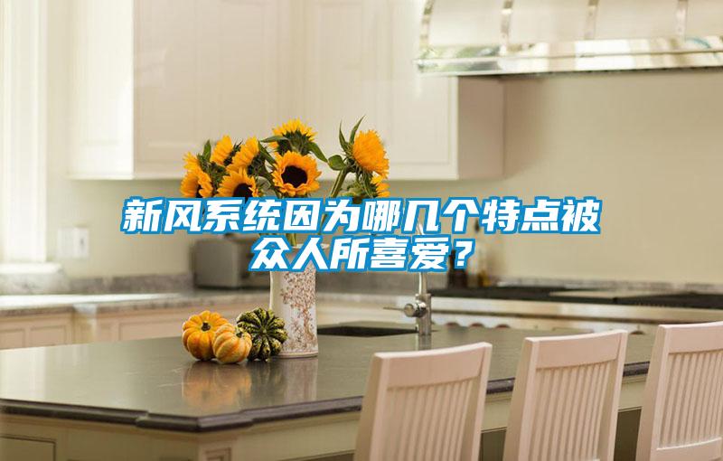 新風(fēng)系統(tǒng)因?yàn)槟膸讉€(gè)特點(diǎn)被眾人所喜愛(ài)？