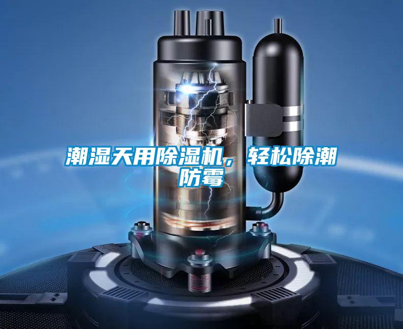 潮濕天用除濕機(jī)，輕松除潮防霉