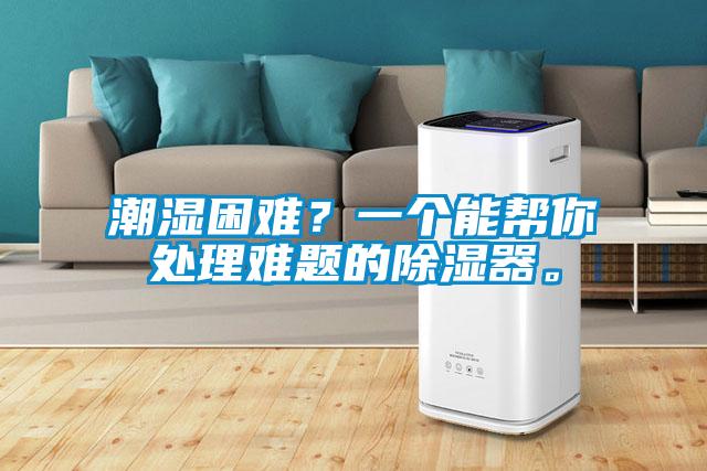 潮濕困難？一個能幫你處理難題的除濕器。