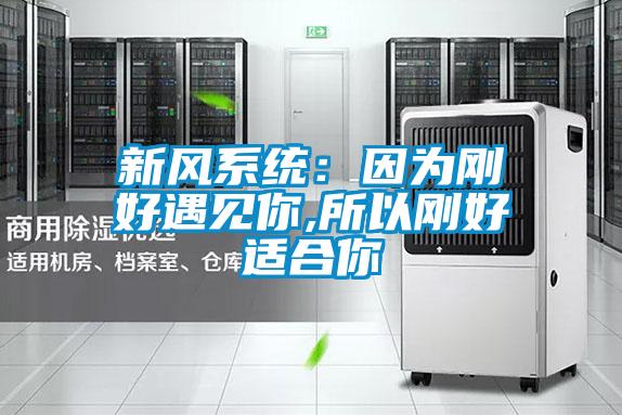 新風系統：因為剛好遇見你,所以剛好適合你