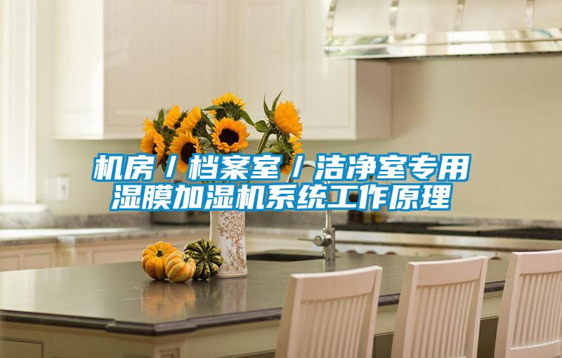 機(jī)房／檔案室／潔凈室專用濕膜加濕機(jī)系統(tǒng)工作原理