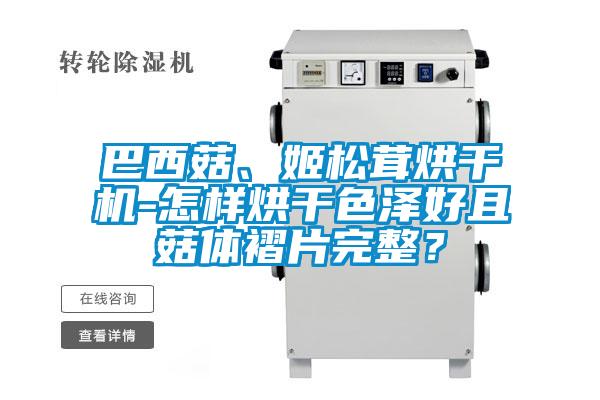 巴西菇、姬松茸烘干機-怎樣烘干色澤好且菇體褶片完整？