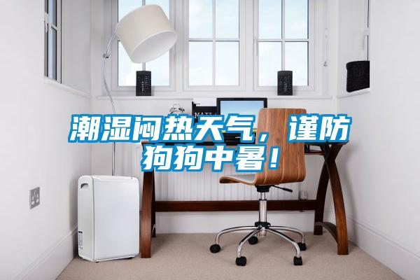 潮濕悶熱天氣，謹防狗狗中暑！