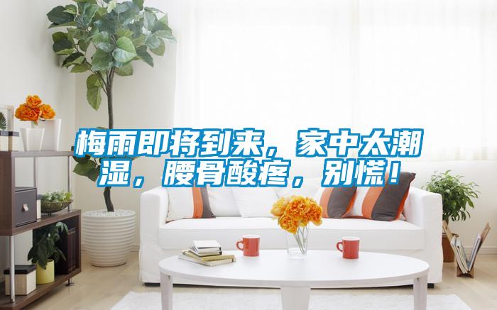 梅雨即將到來，家中太潮濕，腰骨酸疼，別慌！
