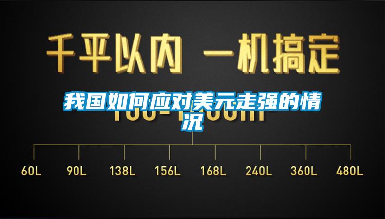 我國如何應對美元走強的情況