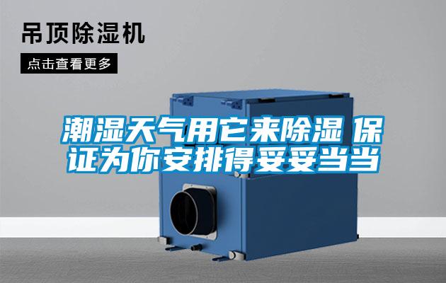潮濕天氣用它來除濕　保證為你安排得妥妥當當