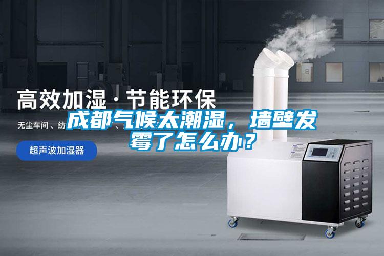 成都?xì)夂蛱睗瘢瑝Ρ诎l(fā)霉了怎么辦？