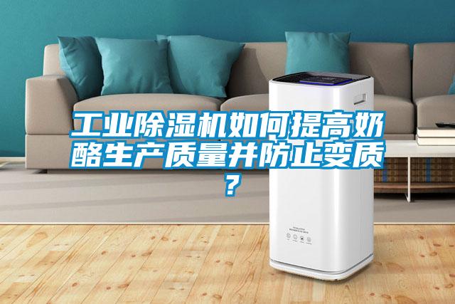 工業(yè)除濕機(jī)如何提高奶酪生產(chǎn)質(zhì)量并防止變質(zhì)？