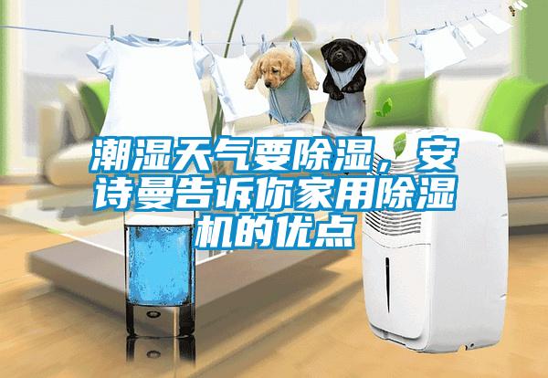 潮濕天氣要除濕，安詩曼告訴你家用除濕機的優點