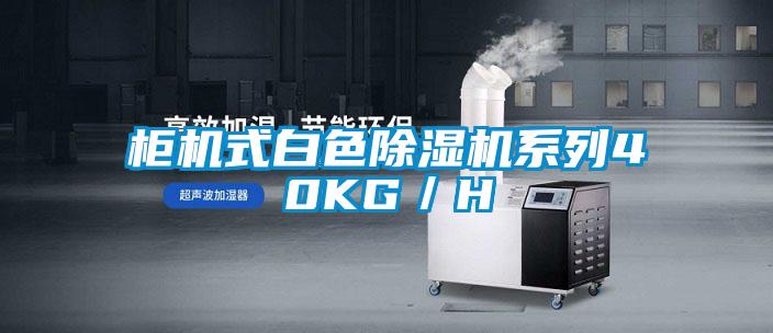 柜機式白色除濕機系列40KG／H