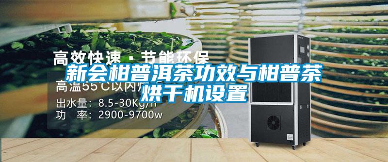 新會柑普洱茶功效與柑普茶烘干機設置
