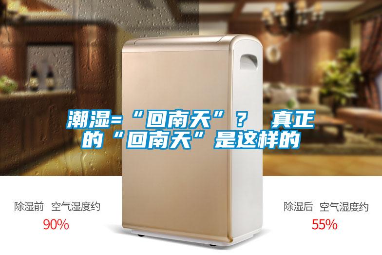 潮濕=“回南天”？ 真正的“回南天”是這樣的