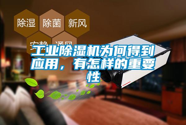工業(yè)除濕機(jī)為何得到應(yīng)用，有怎樣的重要性