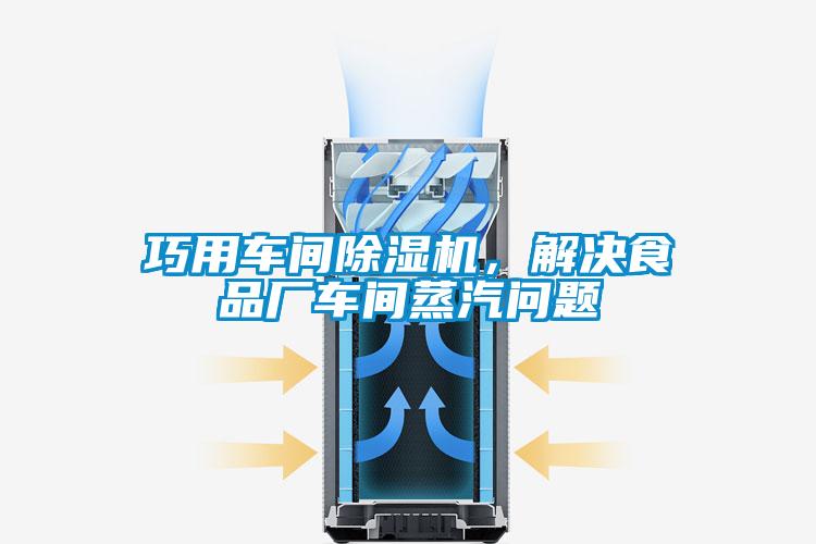 巧用車間除濕機，解決食品廠車間蒸汽問題