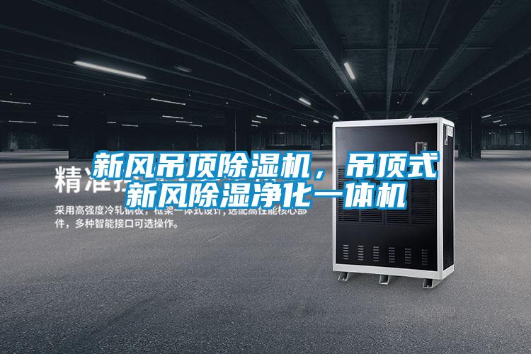新風吊頂除濕機，吊頂式新風除濕凈化一體機