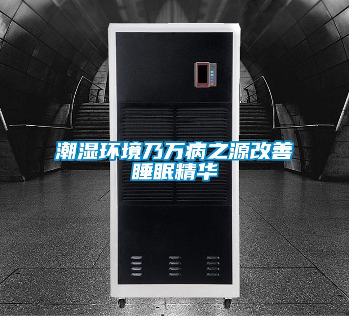 潮濕環(huán)境乃萬病之源改善睡眠精華