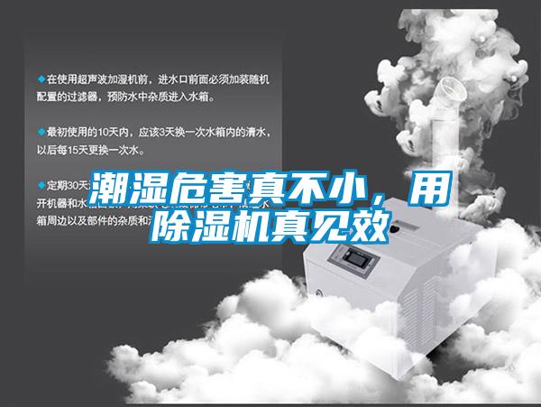 潮濕危害真不小，用除濕機真見效