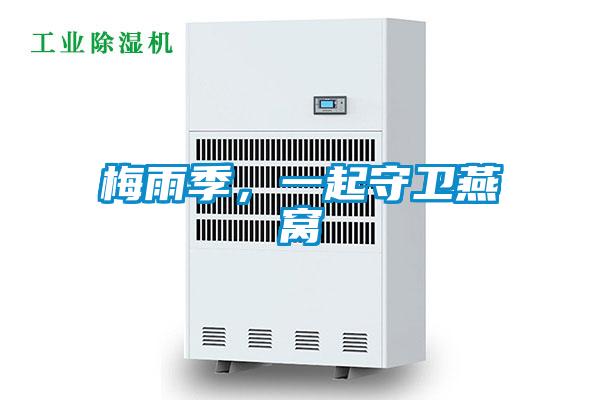 梅雨季，一起守衛(wèi)燕窩