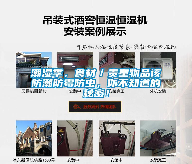 潮濕季，食材／貴重物品該防潮防霉防蟲，你不知道的秘密！