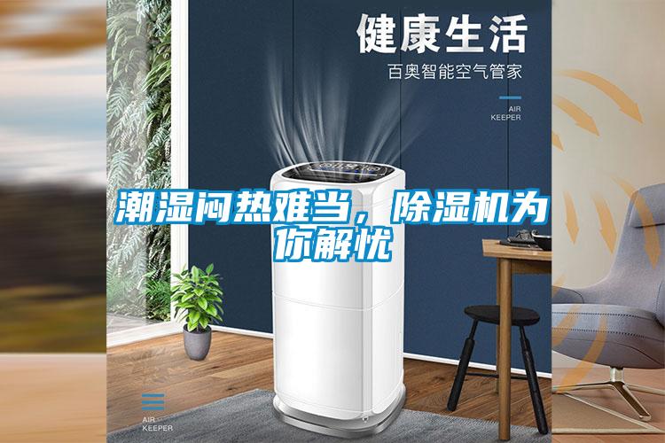 潮濕悶熱難當(dāng)，除濕機為你解憂