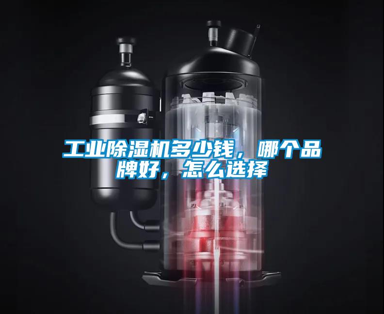 工業(yè)除濕機多少錢，哪個品牌好，怎么選擇