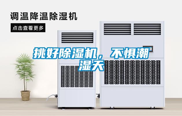 挑好除濕機，不懼潮濕天