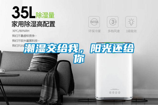 潮濕交給我，陽光還給你