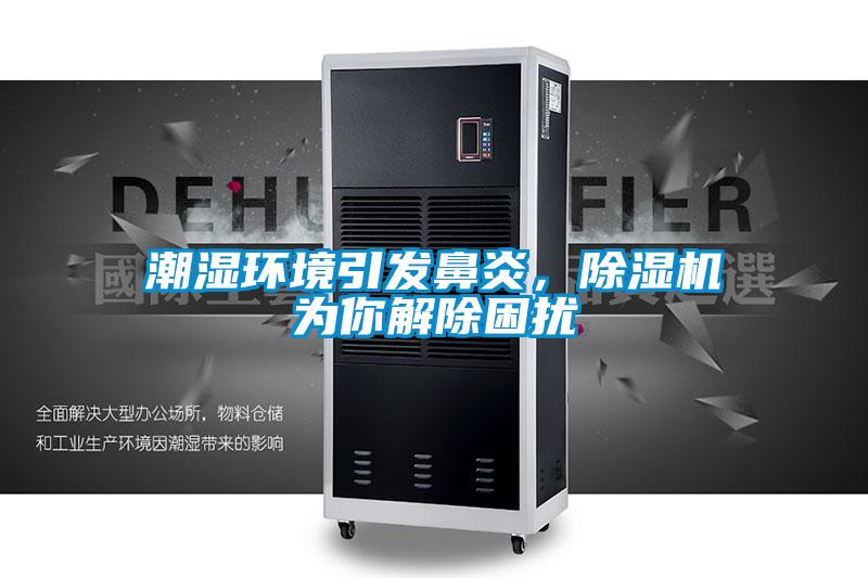 潮濕環境引發鼻炎，除濕機為你解除困擾