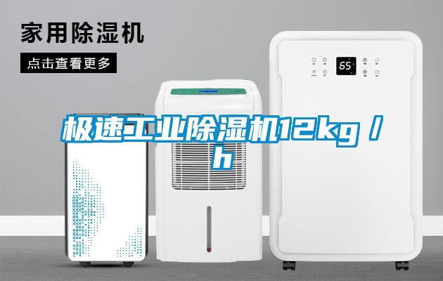 極速工業(yè)除濕機(jī)12kg／h