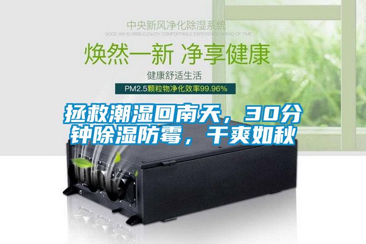 拯救潮濕回南天，30分鐘除濕防霉，干爽如秋