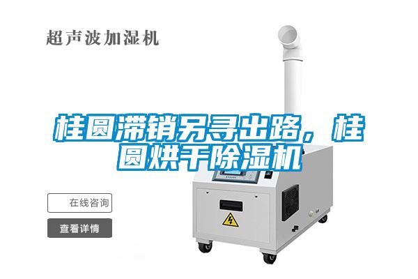 桂圓滯銷另尋出路，桂圓烘干除濕機(jī)