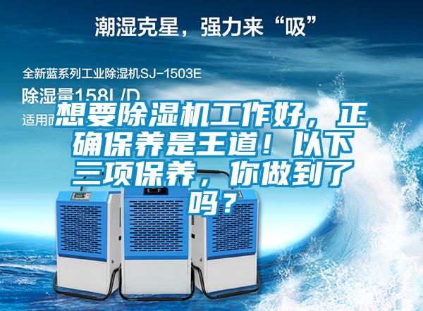想要除濕機工作好，正確保養是王道！以下三項保養，你做到了嗎？