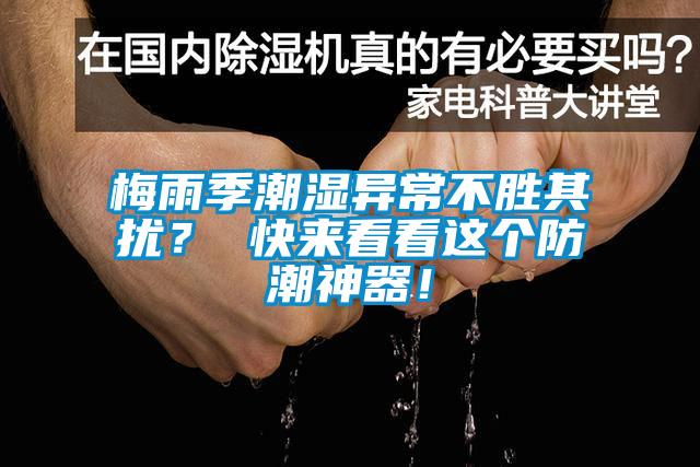 梅雨季潮濕異常不勝其擾？ 快來看看這個防潮神器！
