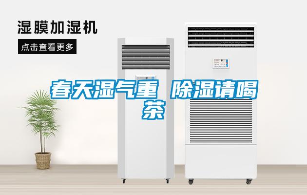 春天濕氣重 除濕請喝茶