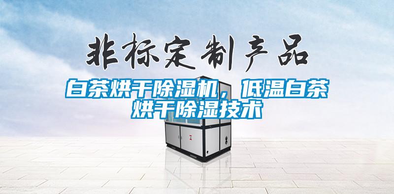 白茶烘干除濕機，低溫白茶烘干除濕技術