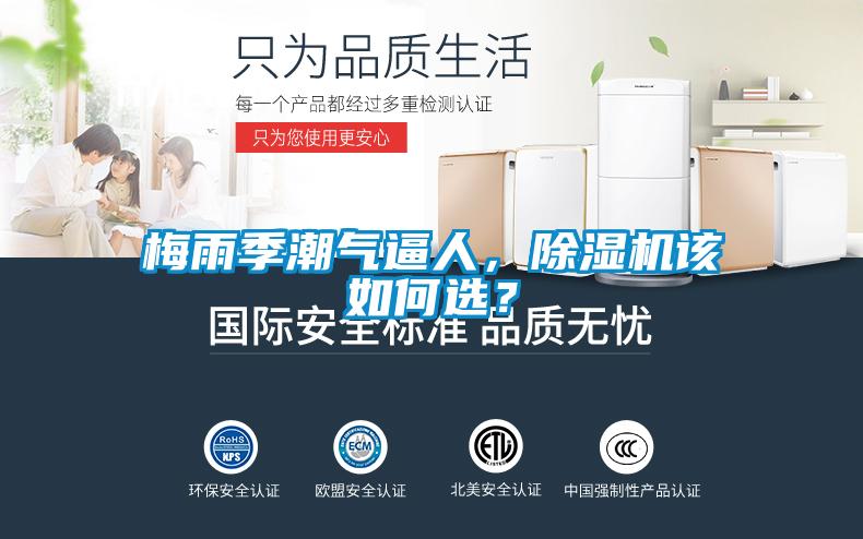 梅雨季潮氣逼人，除濕機該如何選？
