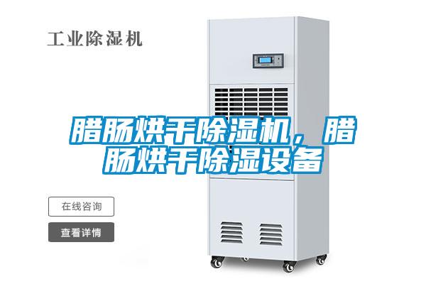 臘腸烘干除濕機，臘腸烘干除濕設備