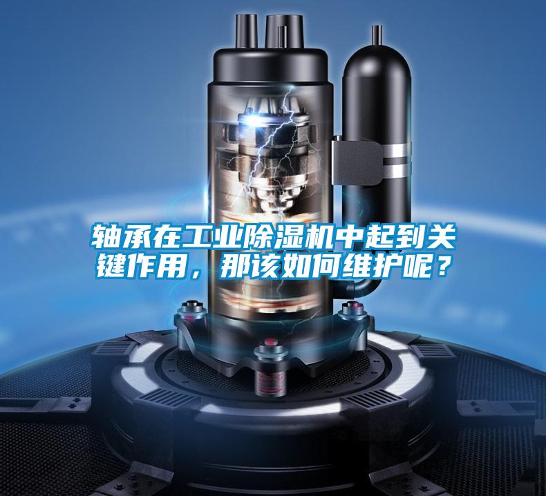 軸承在工業除濕機中起到關鍵作用，那該如何維護呢？
