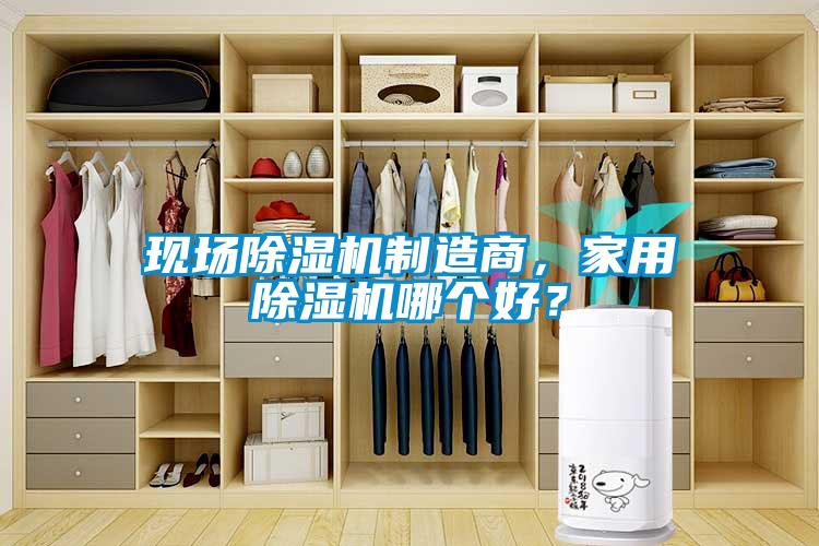 現(xiàn)場(chǎng)除濕機(jī)制造商，家用除濕機(jī)哪個(gè)好？