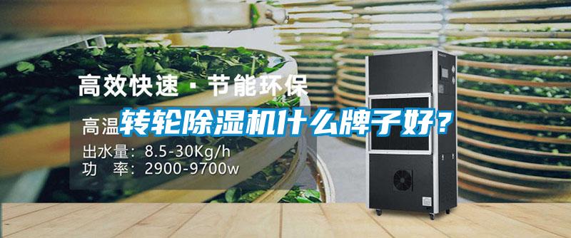 轉輪除濕機什么牌子好？