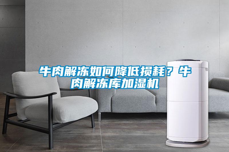 牛肉解凍如何降低損耗？牛肉解凍庫加濕機