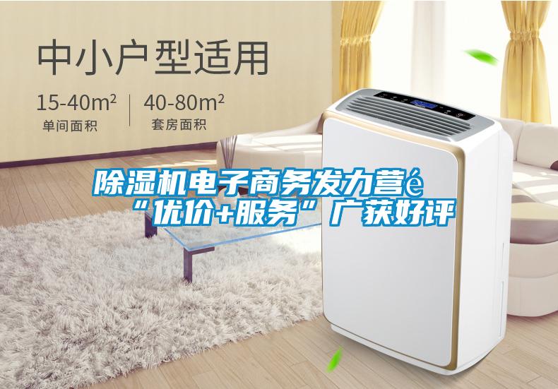除濕機(jī)電子商務(wù)發(fā)力營(yíng)銷(xiāo)“優(yōu)價(jià)+服務(wù)”廣獲好評(píng)