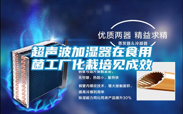 超聲波加濕器在食用菌工廠化栽培見成效