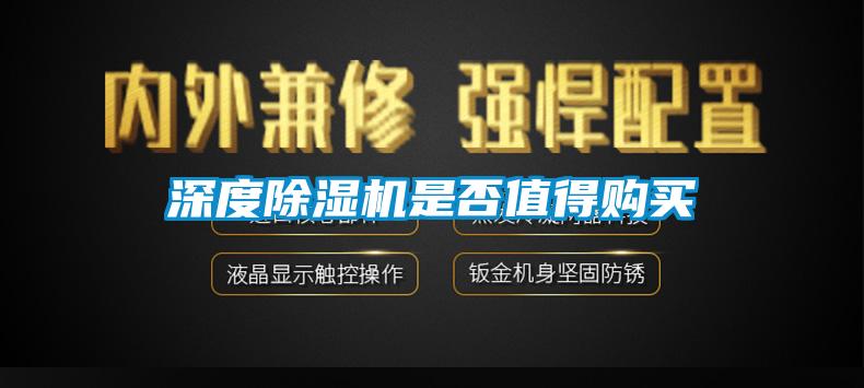 深度除濕機是否值得購買