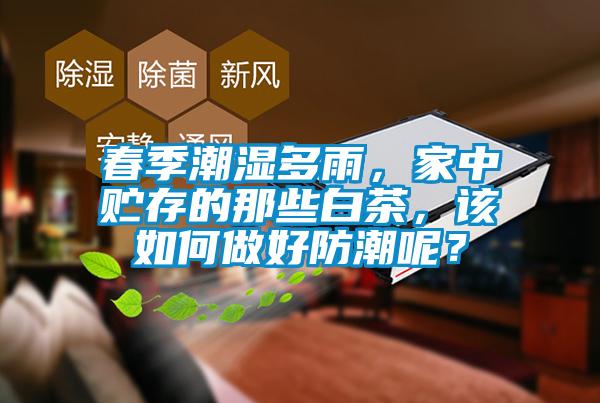 春季潮濕多雨，家中貯存的那些白茶，該如何做好防潮呢？